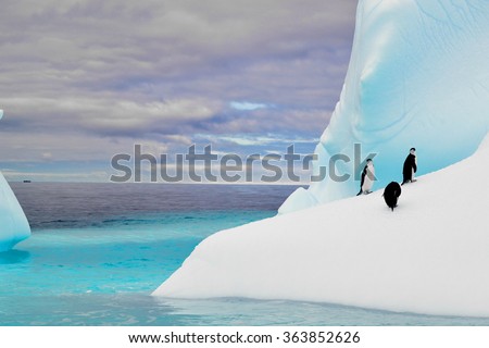 Penguins in iceberg in antarctica pole 
