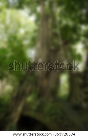 Ubud Monkey Forest Bali Indonesia Travel theme blur background