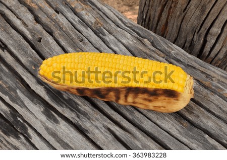 Grilled corn on the old wood texture.Selective focus with shallow depth of field.