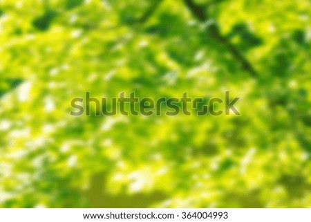 Tree green background 