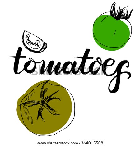 Calligraphy word tomatoes and sketched tomatoes