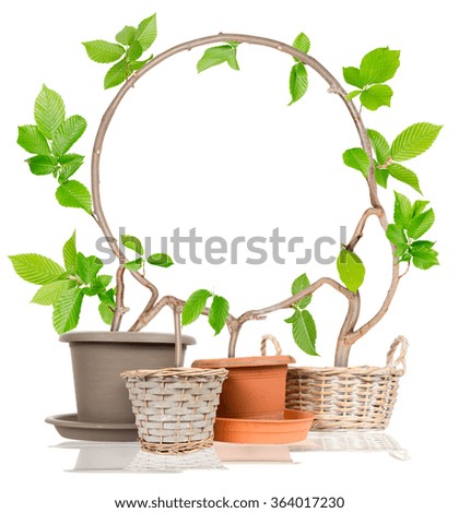Photo of plants growing from pots forming circle isolated on white