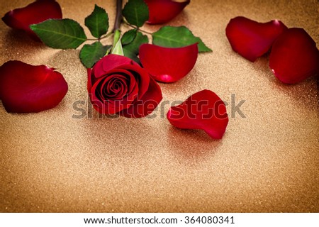 Red rose with petals on golden background. Vintage style toned picture