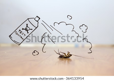 Dead cockroach on floor , pest control concept, pest control and exterminator service Royalty-Free Stock Photo #364133954