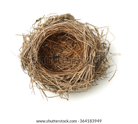 Top view of empty bird nest isolated on white Royalty-Free Stock Photo #364183949