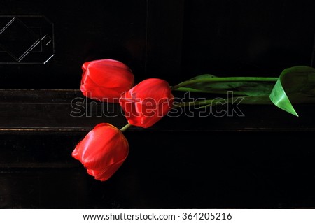  Red tulips on the black old piano