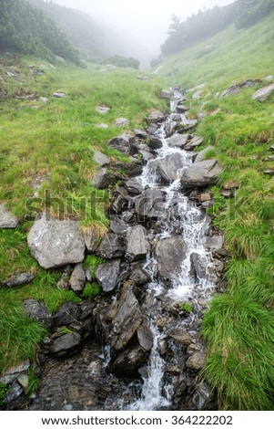 fast mountain river flowing among mossy stones
