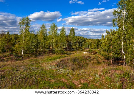 Spring. Edge of the forest. Young leaves and grass. Beautiful scenery, nature comes alive. Kaluga Region, Russia.