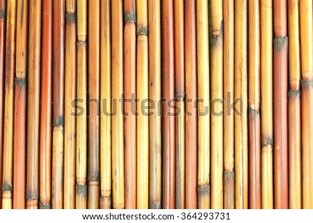beautiful bamboo texture design background