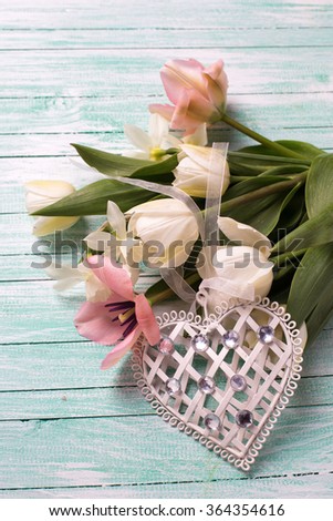 Pink and white tulips and narcissus flowers and decorative heart on turquoise  painted wooden background. Selective focus. 

