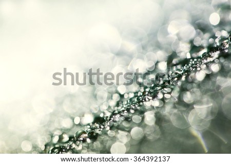 the Abstract elegant bokeh lighting form water rain drop for holiday background