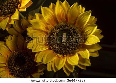 Pills on the sunflower. Medical tablets on flower