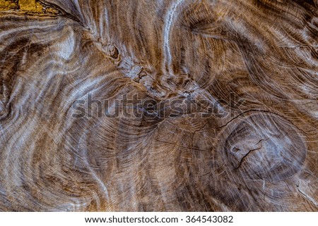 Surface of wood background.