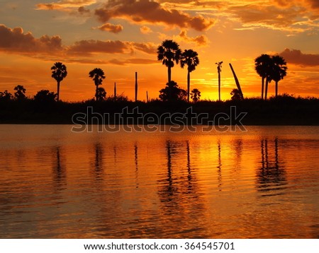 Safari river sunset