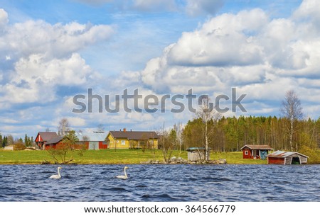 Two swans swim in the lake near the coastal settlement.Scenic clouds on the blue sky create a peaceful and cozy atmosphere.Beautiful natural landscape.Panoramic view.The land of lakes.Finland.Europe.
