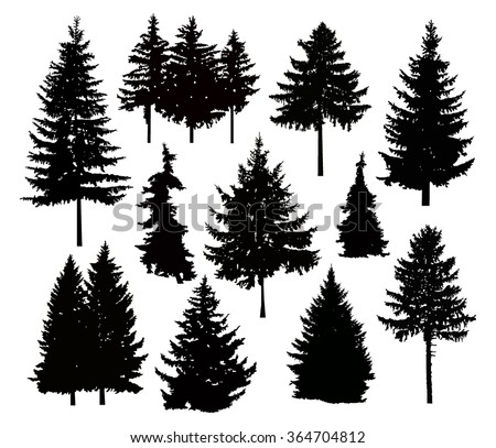 Vector silhouette of different pine trees. Can be used as poster, badge, emblem, banner, icon, sign, decor...