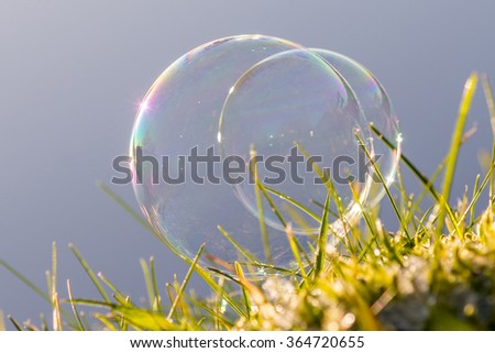 Bubble in cold Grass