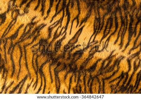 Beautiful tiger fur pattern texture background.