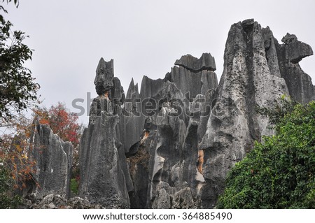 Stone forest landscape