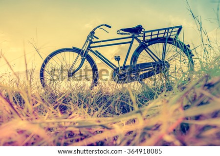 Landscape picture Vintage Bicycle with Summer grass field at sunset ; vintage filter style.classic bicycle,old bicycle style for greeting Cards ,post card