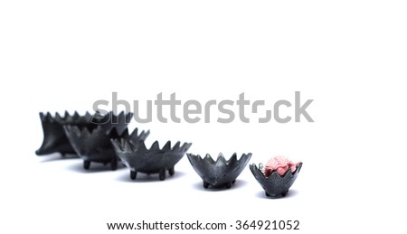 small and young african pygmy hedgehog baby lies in decorations
