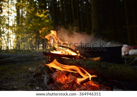 bonfire in the summer forest, photo of camping
