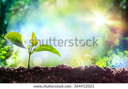 Growing Sprout - Beginning Of A New Life
 Royalty-Free Stock Photo #364952021
