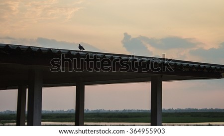 The roof top in silhouette on the sunset background