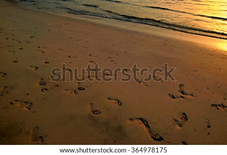 footprints of people on the sea sand at sunset, Dubai