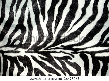 Zebra pattern for background