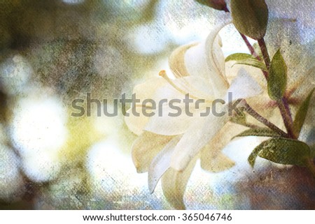 Textured old paper background with flowers 
