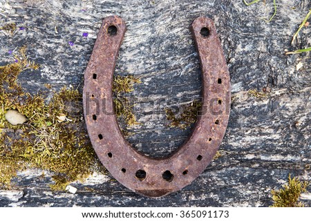 old moosy wooden background with rusty horseshoe