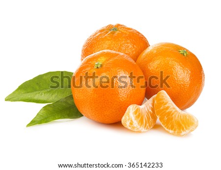 Ripe mandarines with leaves close-up on a white background. Tangerines with leaves on a white background. Royalty-Free Stock Photo #365142233