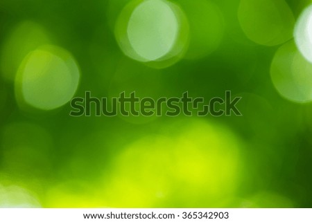 Sunny abstract green nature background, selective focus

