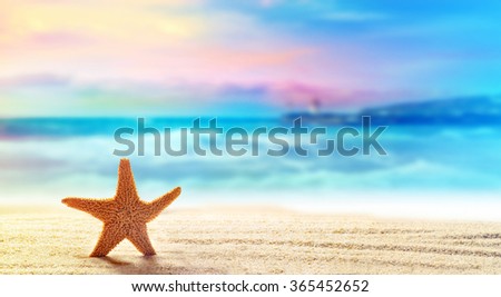 Summer beach with a starfish on a background of the tropical ocean and the beautiful sky Royalty-Free Stock Photo #365452652