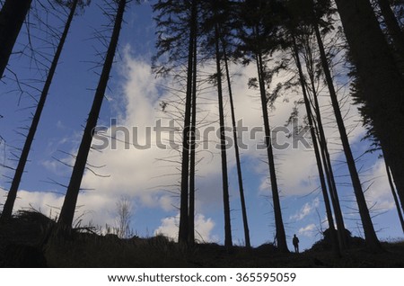 man silhouette in forest against blue sky with white clouds