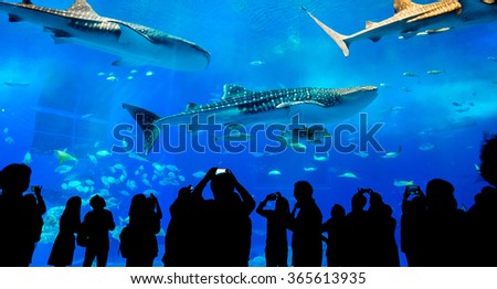 Silhouettes of people and giant whale shark of fantasy underwater in Oceanarium