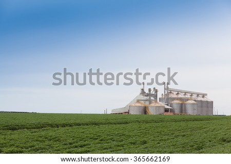 Grain warehouse in soy plantation - Brazil. Royalty-Free Stock Photo #365662169