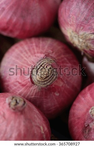 Close up of Red onions