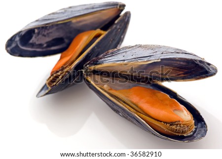 Blue Mussels Royalty-Free Stock Photo #36582910