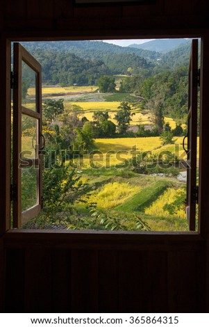 view from window at a wonderful rice terraces with space for your text in Chiangmai, Thailand , Indochina
