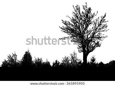 Silhouette of tree, bush with bare branches. Winter scenery trees afar landscape and black space for text, isolated vector