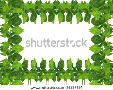 fresh green leaves frame - similar images available
