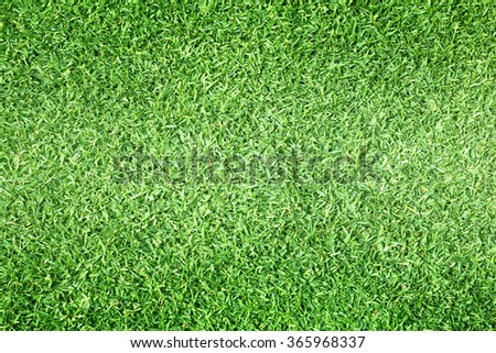 Golf Courses green lawn