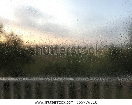 Rainy morning at dawn, looking through the glass.