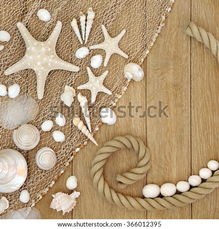 Abstract shell background with fishing net and rope over old oak wood. 