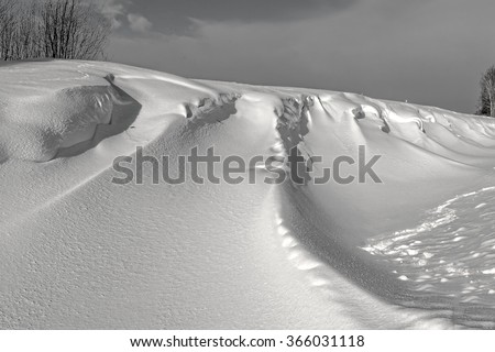 Beautiful black and white textured landscape with snow/Beautiful black and white landscape with snow and the sky/Black and white background