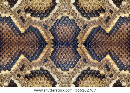 Pattern of python skin