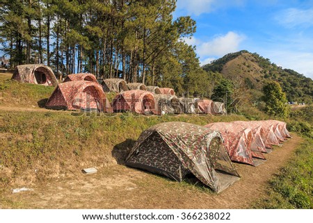 Tourist tents in camp among meadow on the mountain with pine tree and blue sky
