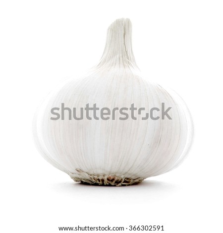 Natural single whole garlic bulb, fresh spicy, organic vegetable